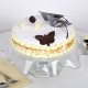 Butterscotch Round Cake Delivery in Faridabad