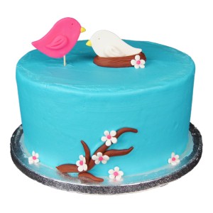 Bird Nest Fondant Cake