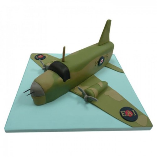 Green Airplane Fondant Cake Delivery in Faridabad