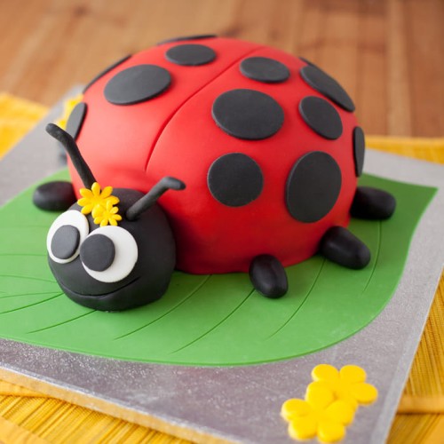 Ladybird Bug Fondant Cake Delivery in Faridabad Ladybird Bug Fondant Cake Delivery in Faridabad