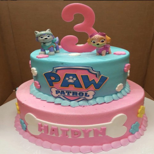 2 Tier Paw Patrol Fondant Cake Delivery in Faridabad