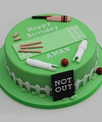 Cricket Theme Cakes