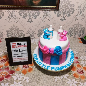 He or She Baby Shower Cake