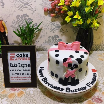 Baby Panda Fondant Cake